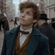 Fantastic Beasts And Where To Find Them